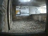 Waukegan Illinois midwestgen-7.jpg